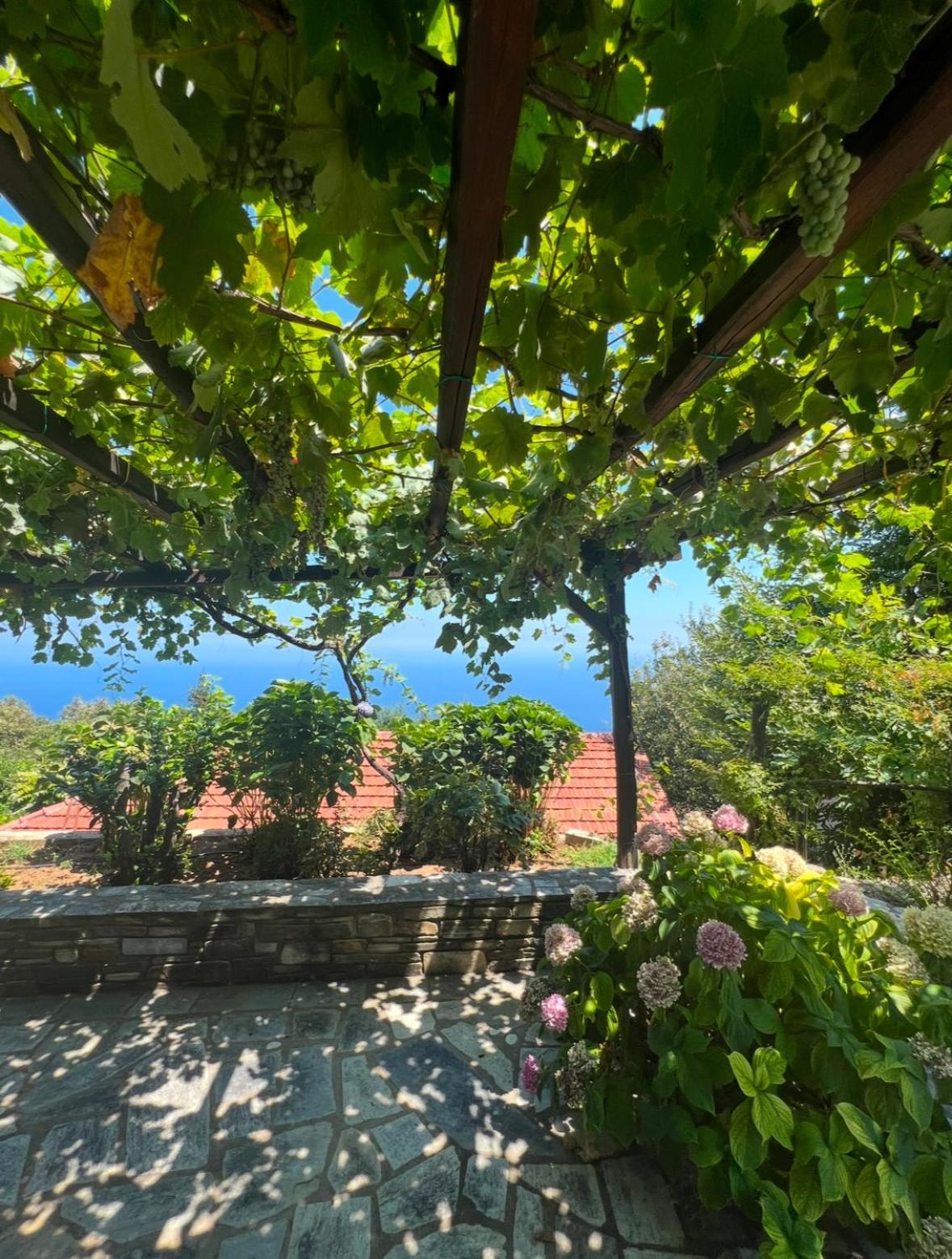 Om Living Pelion Apartment Agios Dimitrios  Bagian luar foto